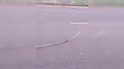 Atenção! Fios soltos na Avenida Santa Maria, no Cataratas Atenção! Fios soltos na Avenida Santa Maria, no Cataratas