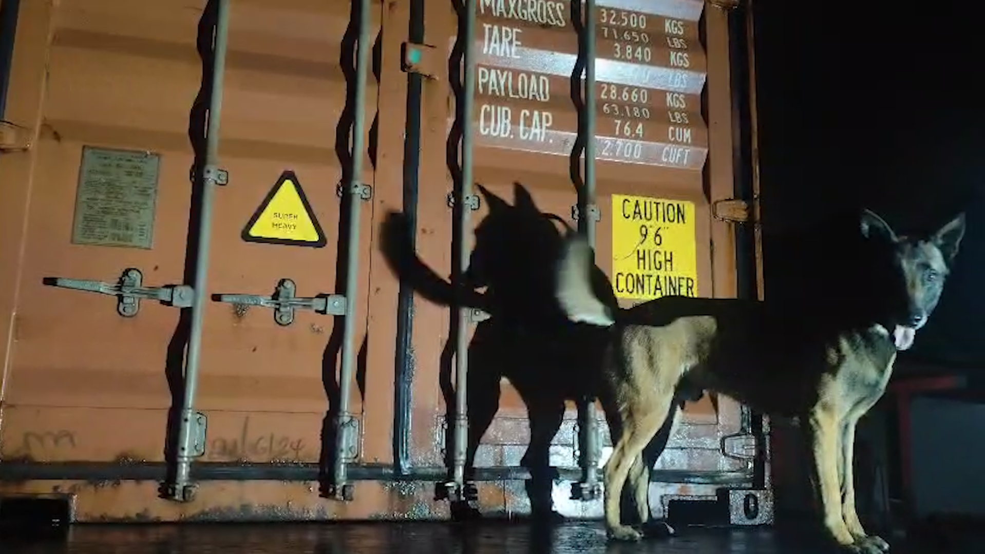 Batalhão de Polícia Rodoviária apreende maior carga de drogas com apoio de cães de faro da história do estado Batalhão de Polícia Rodoviária apreende maior carga de drogas com apoio de cães de faro da história do estado