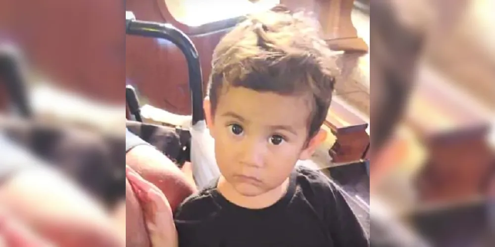 Arthur desaparece no mato e mobiliza buscas com drones, cães e mergulhadores Arthur desaparece no mato e mobiliza buscas com drones, cães e mergulhadores