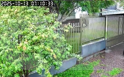 Imagem referente a Motorista joga caminhão sem freio em árvore e evita tragédia no Periolo