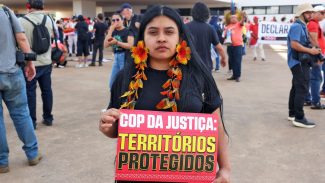 No DF, indígenas pedem demarcações e combate às mudanças climáticas No DF, indígenas pedem demarcações e combate às mudanças climáticas
