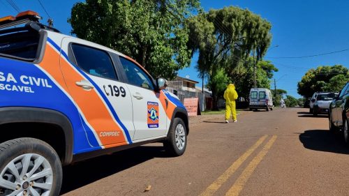 Imagem referente a Defesa Civil e Bombeiros são mobilizados cachorros serem atacados por abelhas no bairro Santa Cruz
