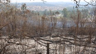 Estudo aponta que financiamento climático no Brasil é desigual