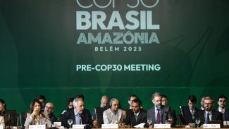 Cerca de 300 iniciativas lançadas em COPs foram descontinuadas