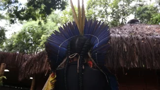 PF investiga ataques armados contra povo pataxó do sul da Bahia PF investiga ataques armados contra povo pataxó do sul da Bahia