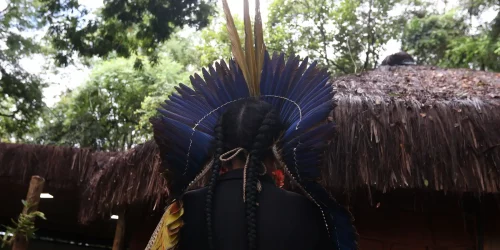 PF investiga ataques armados contra povo pataxó do sul da Bahia Imagem referente a PF investiga ataques armados contra povo pataxó do sul da Bahia