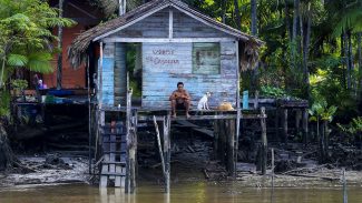 Povos da floresta sofrem mais com o clima, diz líder extrativista