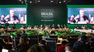 BNDES lança plataforma para acompanhar ações do Fundo Clima