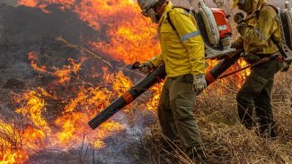 Pré-COP: Brasil propõe resposta global a incêndios florestais Pré-COP: Brasil propõe resposta global a incêndios florestais