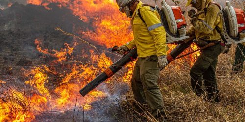 Pré-COP: Brasil propõe resposta global a incêndios florestais Imagem referente a Pré-COP: Brasil propõe resposta global a incêndios florestais