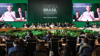 “COP é o lugar para resolver financiamento climático”, diz economista