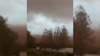 Ventos atingem 110,5 km/h em Cascavel nesta quinta-feira