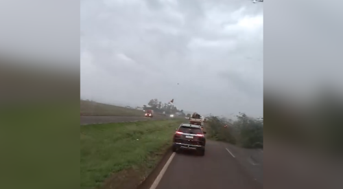 Imagem referente a Árvore cai na BR-163 entre Cascavel e Toledo após temporal