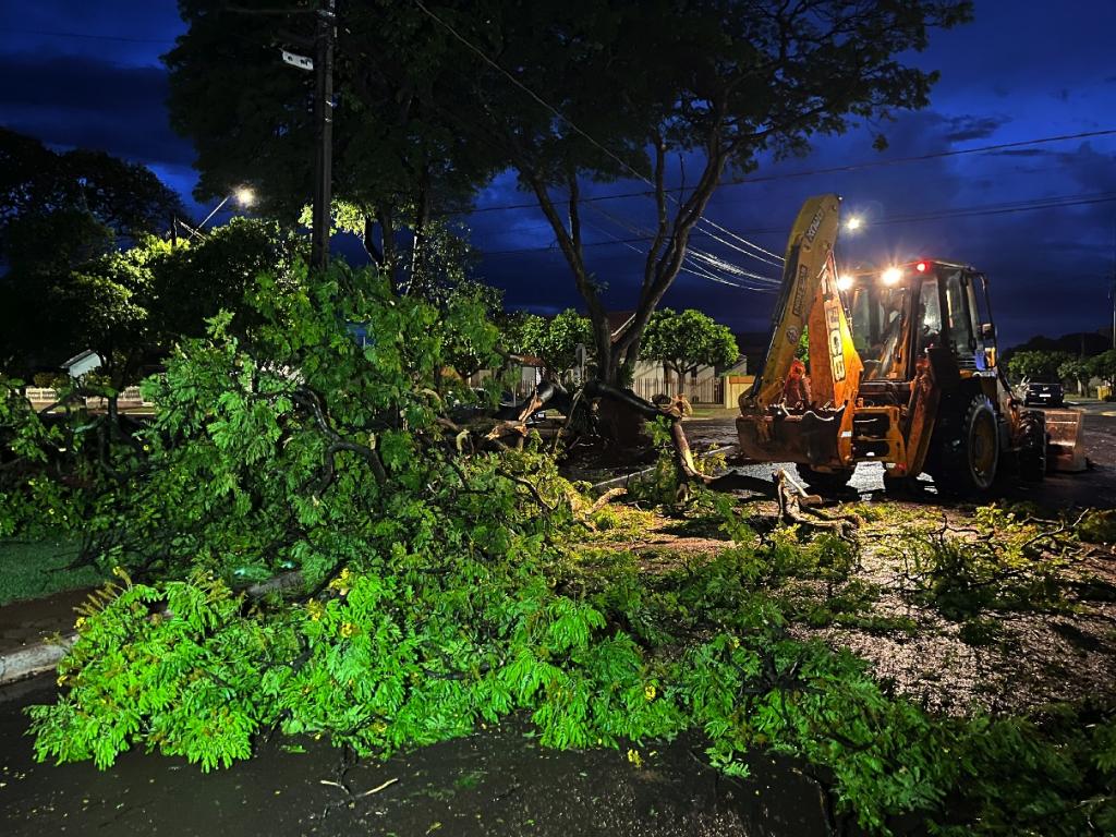 Árvore cai no centro de Nova Santa Rosa e pista fica interditada