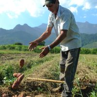 BNDES vai liberar R$ 12 bi para produtores rurais com perdas de safra Imagem referente a BNDES vai liberar R$ 12 bi para produtores rurais com perdas de safra