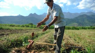 BNDES vai liberar R$ 12 bi para produtores rurais com perdas de safra