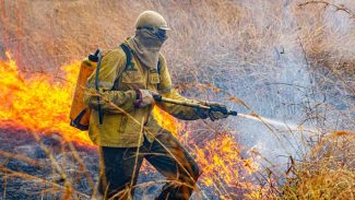 Raios provocam novo foco de incêndio na Chapada dos Veadeiros
