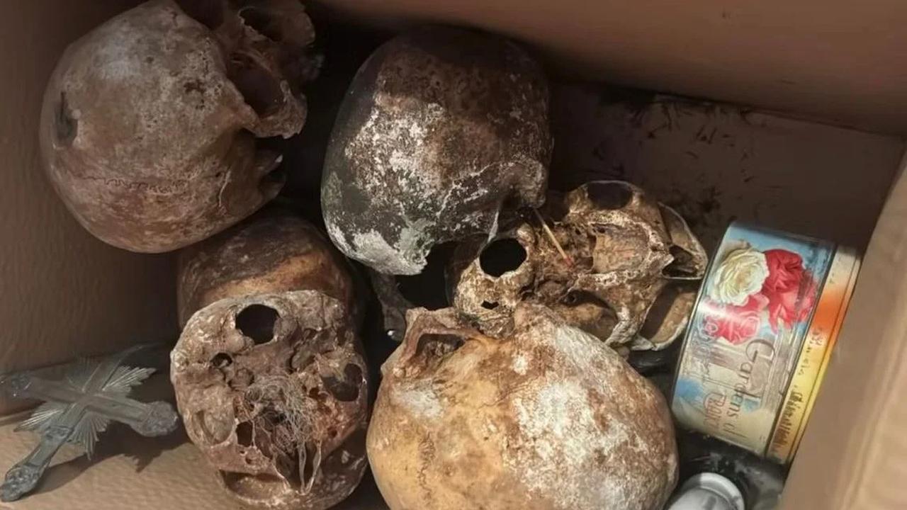Mistério macabro: crânios e ossos humanos são encontrados em apartamento Mistério macabro: crânios e ossos humanos são encontrados em apartamento