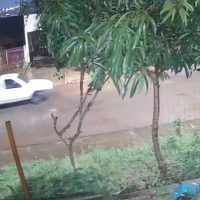 Imagem referente a Ladrões invadem residência na Rua Uirapuru e furtam Ford Courier