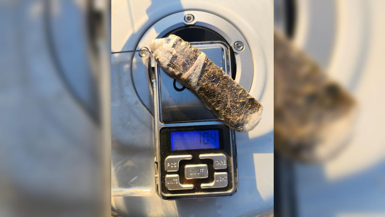 GOTran pega motoqueiro com 10,4g de maconha e aplica quatro multas no Cancelli