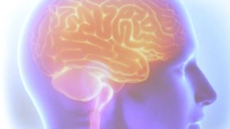 AVC mata uma pessoa a cada seis minutos no Brasil AVC mata uma pessoa a cada seis minutos no Brasil