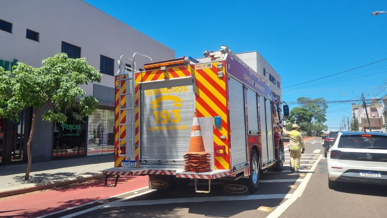 Gambá é resgatado pelos Bombeiros no Centro de Cascavel