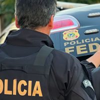 Operação da PF em Guarulhos impede tráfico de animais silvestres Imagem referente a Operação da PF em Guarulhos impede tráfico de animais silvestres