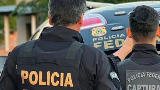 Operação da PF em Guarulhos impede tráfico de animais silvestres Operação da PF em Guarulhos impede tráfico de animais silvestres