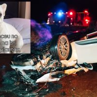 Imagem referente a Donos pedem ajuda para localizar Cachorrinho que desapareceu após capotamento de Porsche na BR-467
