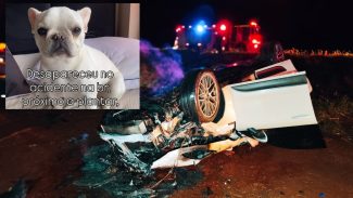 Donos pedem ajuda para localizar Cachorrinho que desapareceu após capotamento de Porsche na BR-467 Donos pedem ajuda para localizar Cachorrinho que desapareceu após capotamento de Porsche na BR-467