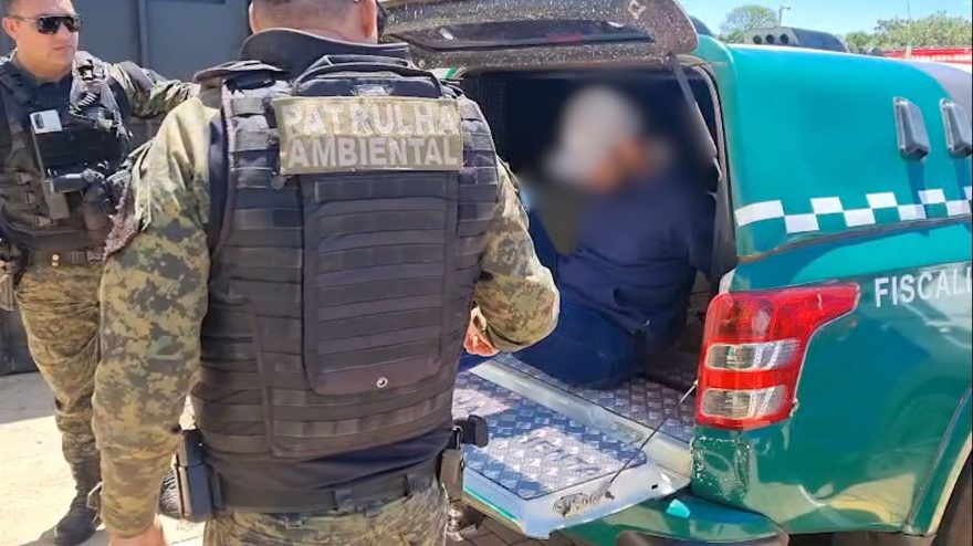 Cães passam fome e um morre: Tutor é detido por maus-tratos em Cascavel