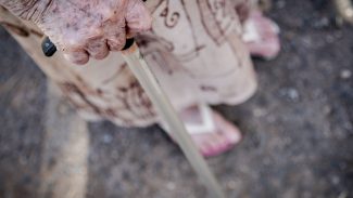 Trabalhadora doméstica é resgatada em condição análoga à escravidão 