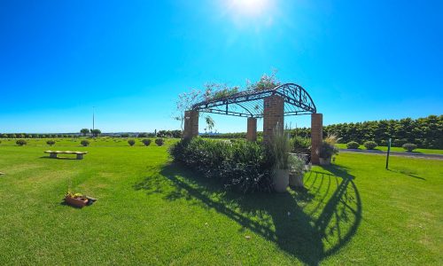 Cuidado que vai além: Jardins Cemitério-Parque celebra Finados com programação especial 