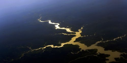 Captura de carbono na Amazônia está em risco, diz estudo Imagem referente a Captura de carbono na Amazônia está em risco, diz estudo