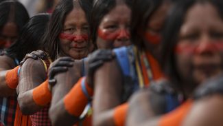 IBGE: 391 etnias indígenas falam 295 línguas no Brasil
