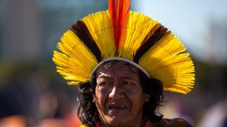 Brasil tem 5,42% das crianças indígenas sem certidão de nascimento