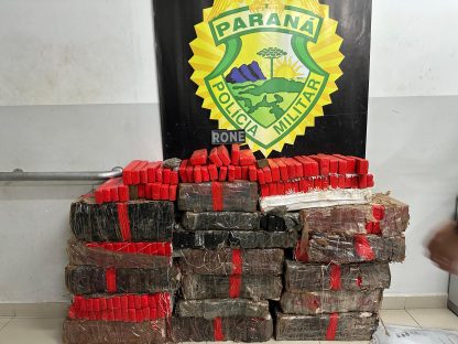 Cão farejador desmascara esconderijo e PM apreende 313 kg de maconha em Curitiba