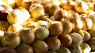 Inflação acumulada dos alimentos é a menor desde setembro de 2024 Inflação acumulada dos alimentos é a menor desde setembro de 2024