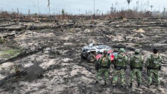 Desmatamento na Amazônia ameaça igarapés e segurança hídrica