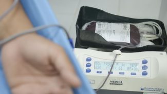 Crianças com hemofilia terão terapia menos invasiva pelo SUS Crianças com hemofilia terão terapia menos invasiva pelo SUS