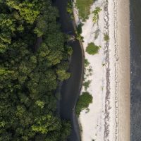 “Não existe Planeta B”, alerta astrofísico às vésperas da COP30 Imagem referente a “Não existe Planeta B”, alerta astrofísico às vésperas da COP30