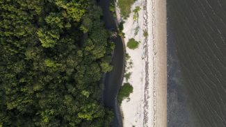 “Não existe Planeta B”, alerta astrofísico às vésperas da COP30 “Não existe Planeta B”, alerta astrofísico às vésperas da COP30