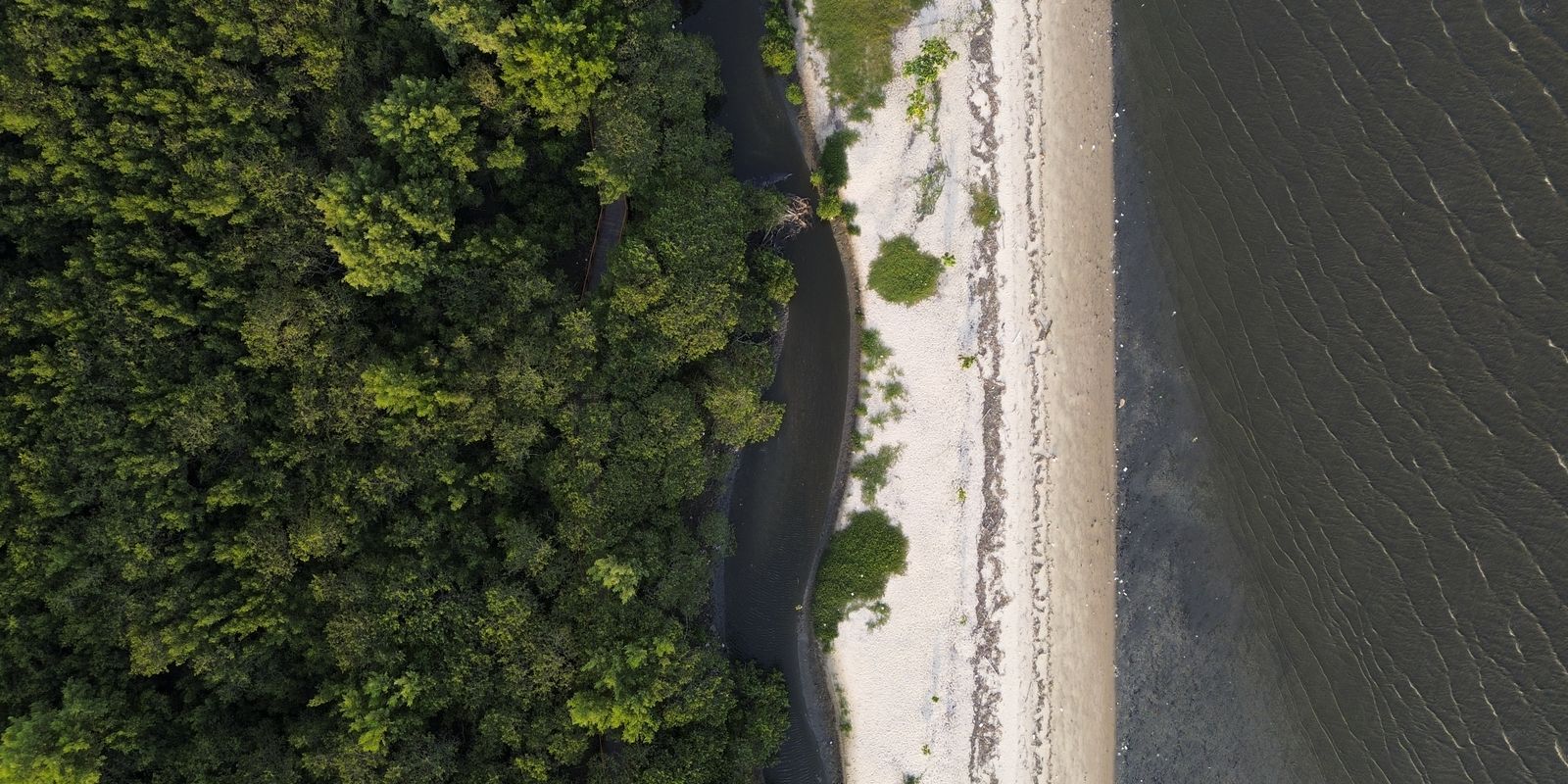 “Não existe Planeta B”, alerta astrofísico às vésperas da COP30 Imagem referente a “Não existe Planeta B”, alerta astrofísico às vésperas da COP30