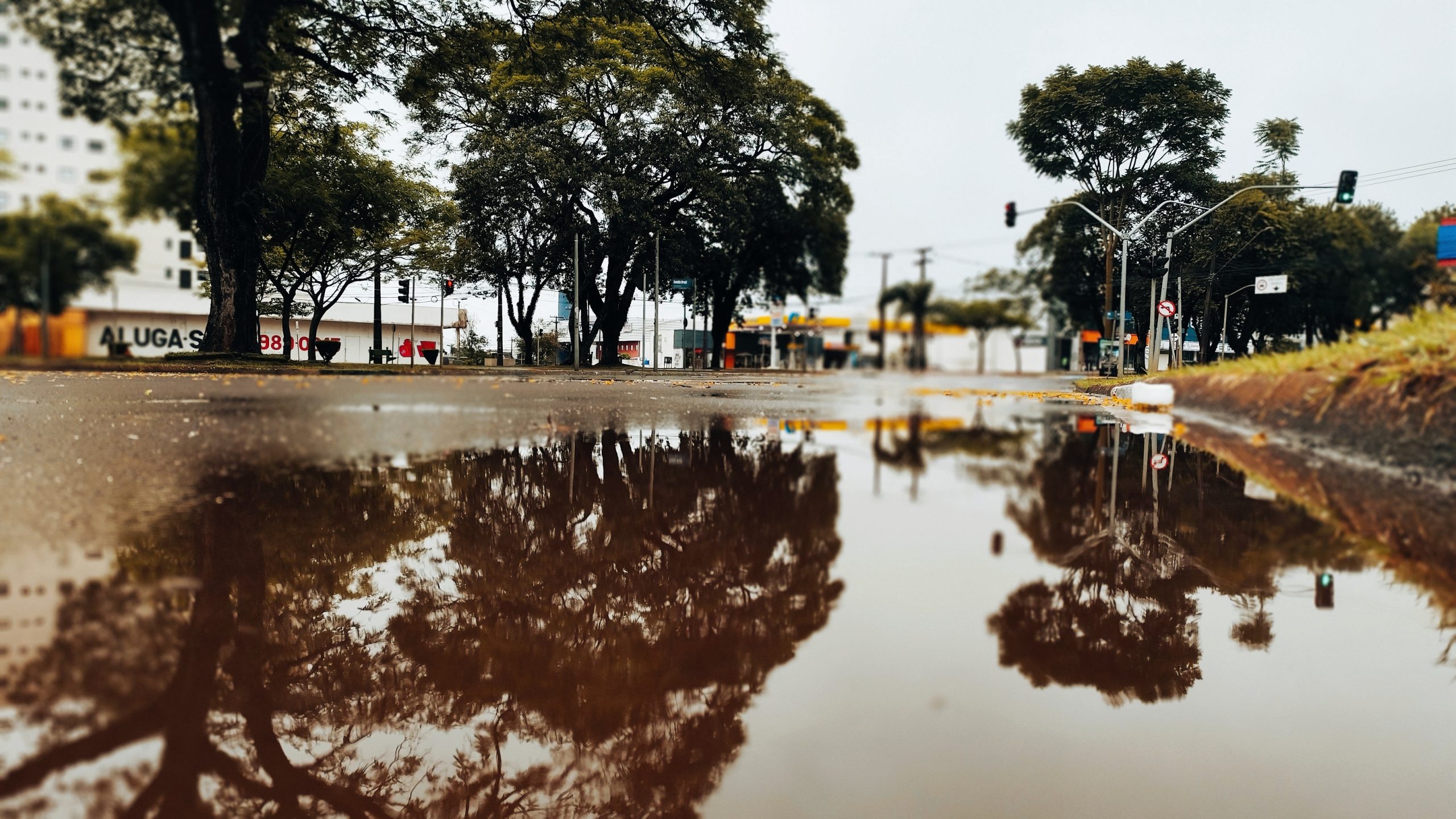 Previsão confirma: até o cachorro desistiu do passeio neste domingo chuvoso