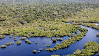 Boleto gigante na Paulista cobra países ricos sobre dívida com o clima Boleto gigante na Paulista cobra países ricos sobre dívida com o clima