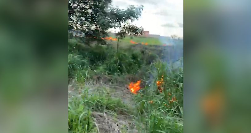 Incêndio atinge área de vegetação no bairro Cascavel Velho