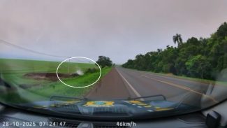 Câmera da PRF registra fuga em alta velocidade e capotamento de carro carregado com 150 kg de maconha em Cascavel