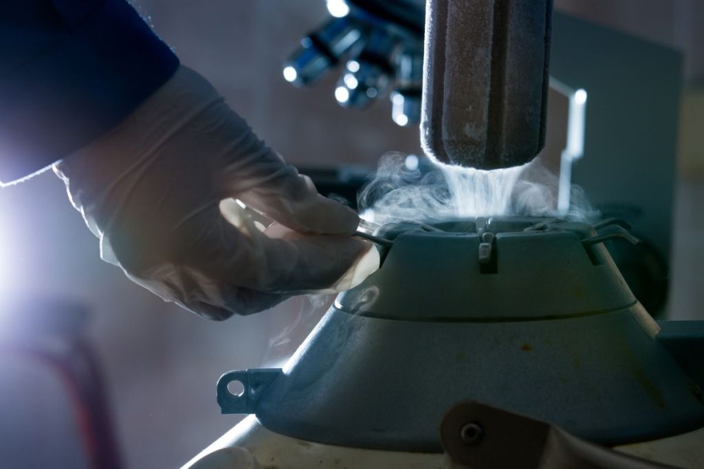 Cascavel abre licitação para aquisição de sêmen bovino e insumos do Programa de Inseminação Artificial Cascavel abre licitação para aquisição de sêmen bovino e insumos do Programa de Inseminação Artificial