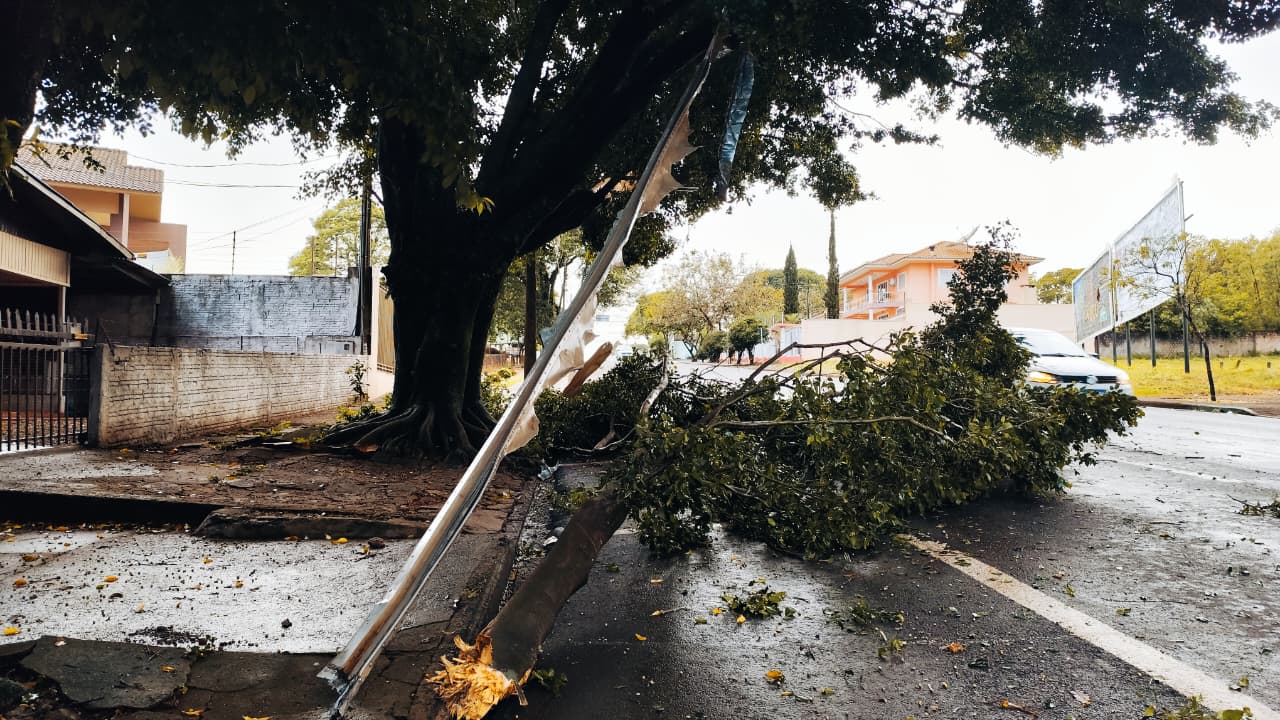 Galhos e pedaço de caminhão caem na Rua Antonina e Corpo de Bombeiros é acionado