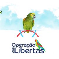 MPPR participa de operação de combate ao tráfico de espécies da fauna silvestre realizada simultaneamente em 11 estados Imagem referente a MPPR participa de operação de combate ao tráfico de espécies da fauna silvestre realizada simultaneamente em 11 estados